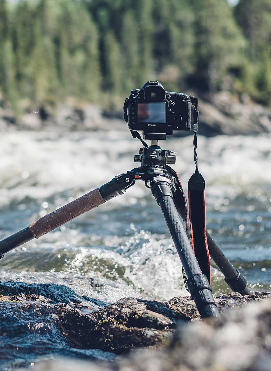 MatsLind_LeoFoto-56599